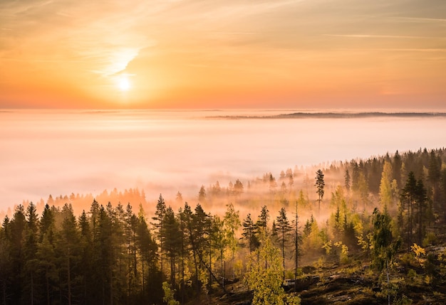 Vue panoramique du paysage contre le ciel au lever du soleil