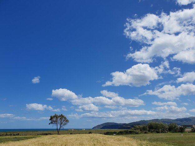 Photo vue panoramique du paysage contre le ciel bleu