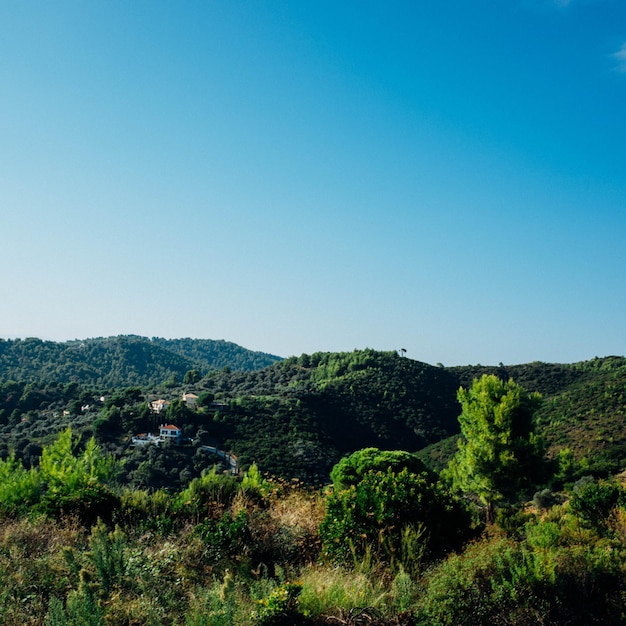 Vue panoramique du paysage contre le ciel bleu