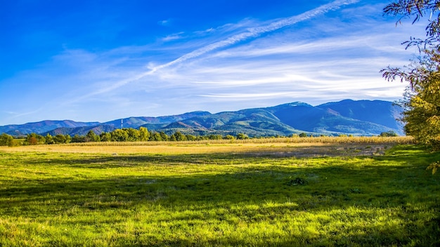 Vue panoramique du paysage contre le ciel bleu