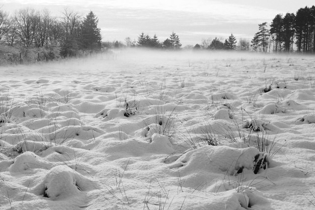 Vue panoramique du paysage contre le ciel en hiver