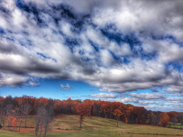 Photo vue panoramique du paysage contre un ciel nuageux