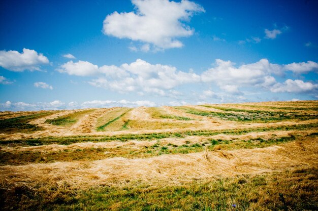 Photo vue panoramique du paysage contre un ciel nuageux