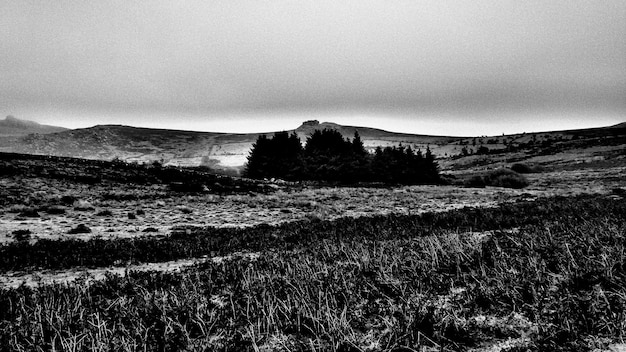 Vue panoramique du paysage contre le ciel