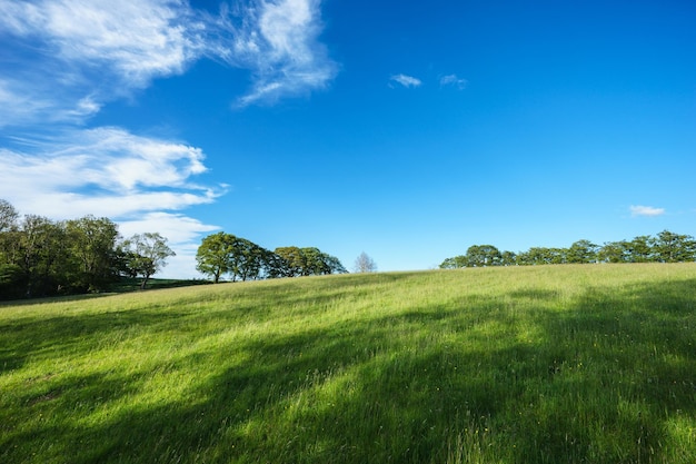 Vue panoramique du paysage contre le ciel