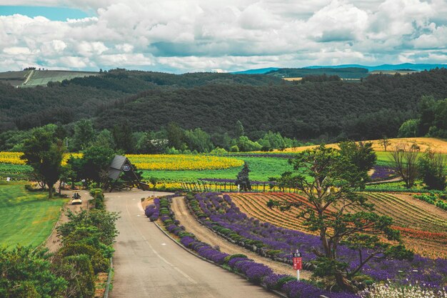 Vue panoramique du paysage contre le ciel