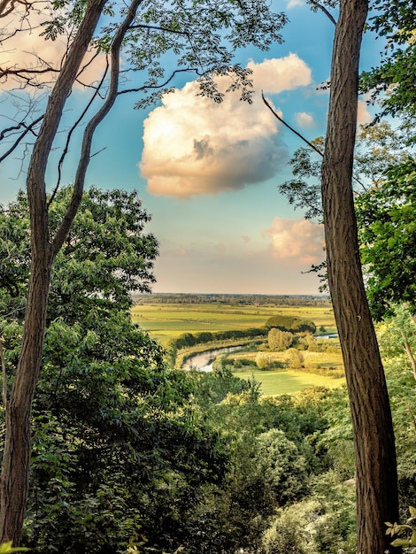 Vue panoramique du paysage contre le ciel