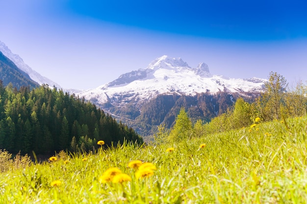 Vue panoramique du paysage sur fond de montagnes et de ciel nuageux