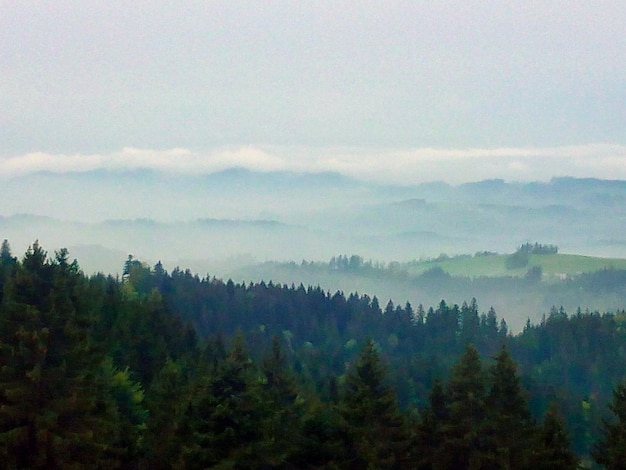 Vue panoramique du paysage de la Forêt Noire Allemagne