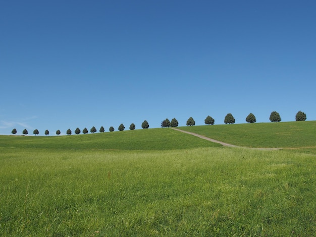 Vue panoramique du paysage herbeux contre un ciel dégagé