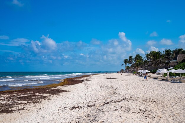 Vue panoramique du paysage marin avec les touristes dans une belle station balnéaire contre ciel nuageux à Tulum, Mexique.