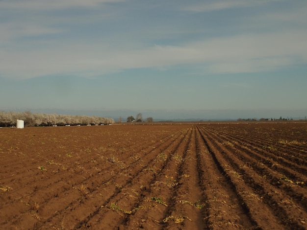 Vue panoramique du paysage rural