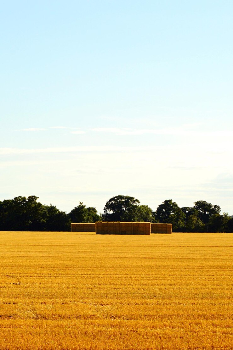 Photo vue panoramique du paysage rural