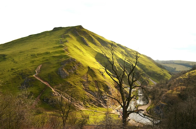 Photo vue panoramique du paysage vert