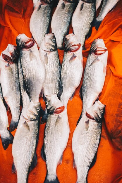 Vue panoramique du poisson à vendre sur le marché