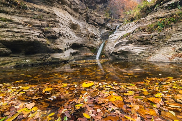 Vue panoramique du ruisseau au milieu des rochers en automne