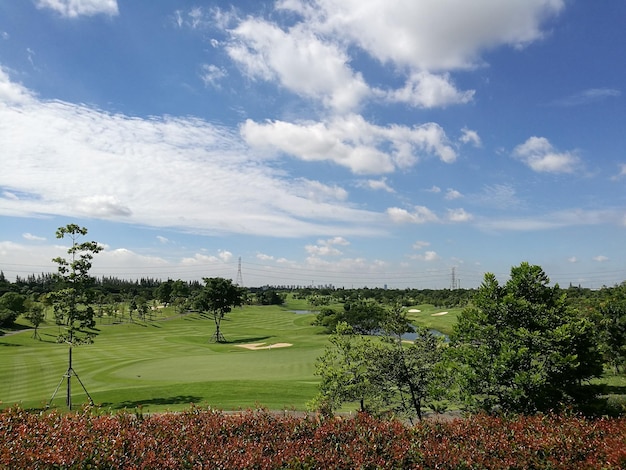 Vue panoramique du terrain de golf sur un ciel nuageux