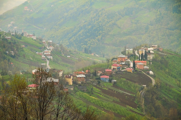 Vue panoramique du village de Kurucam au printemps