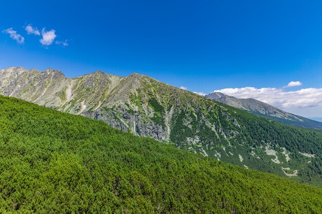 Photo vue panoramique d'été de la vallée des hautes montagnes des tatra