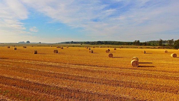 Vue panoramique de la ferme contre le ciel