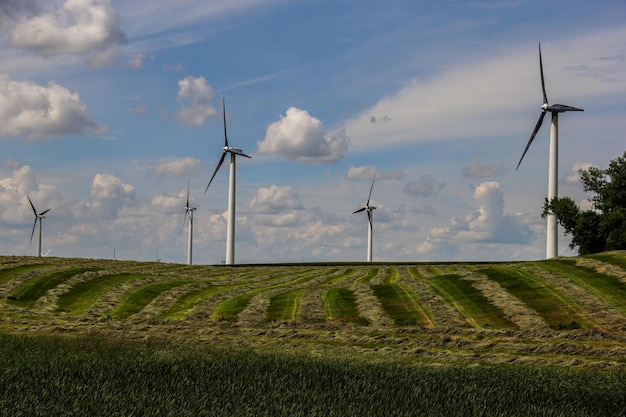 Vue panoramique de la ferme contre le ciel