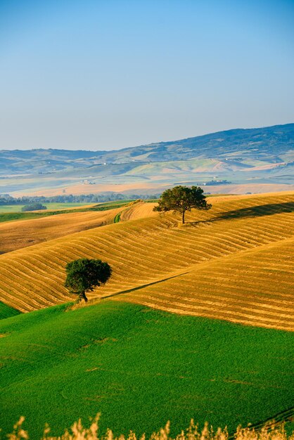 Vue panoramique de la ferme contre le ciel