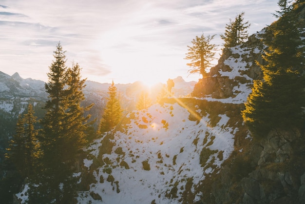 Vue panoramique de la forêt contre le ciel au coucher du soleil