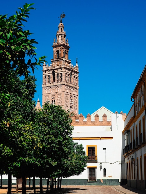 Vue panoramique sur la Giralda de Séville depuis le Patio de Banderas