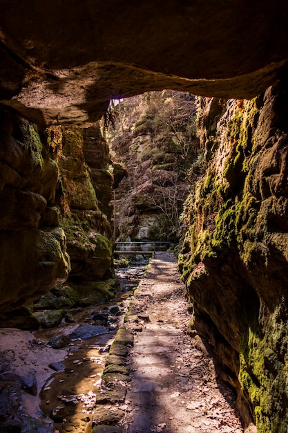 Vue panoramique de la grotte