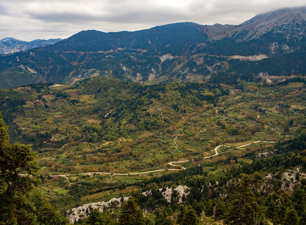 Vue panoramique d'en haut sur les forêts et le village serpentin de l'île d'Eubée en Grèce