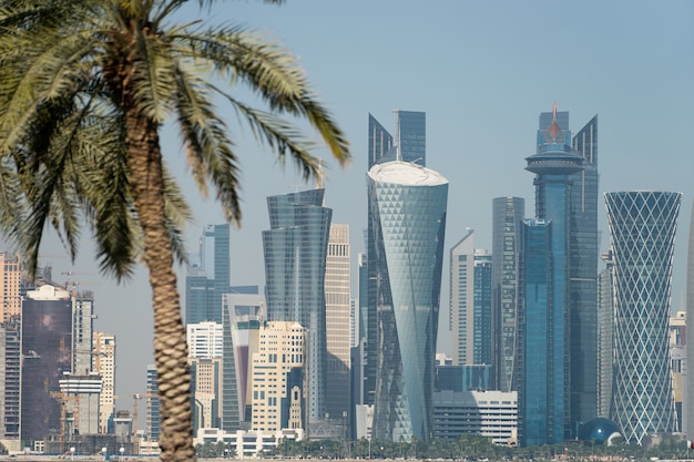 Vue panoramique de l'horizon moderne de Doha à travers des palmiers flous. Qatar aux beaux jours.