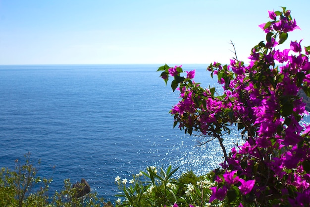 Photo vue panoramique sur l'île, la mer et la fleur rose par beau temps. corfou. grèce.