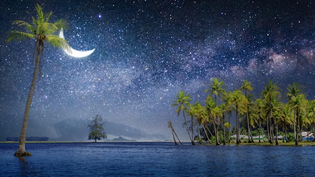 Vue panoramique sur l'île tropicale avec cocotiers et beau ciel nocturne