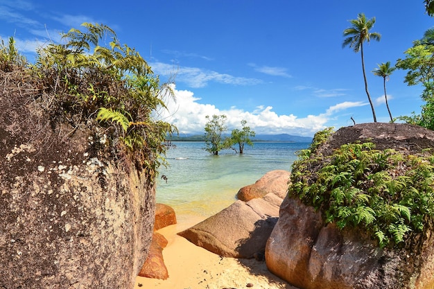 Vue panoramique sur l'île tropicale