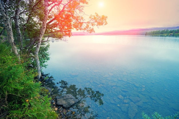 Vue panoramique sur le lac Belle nature de la Norvège