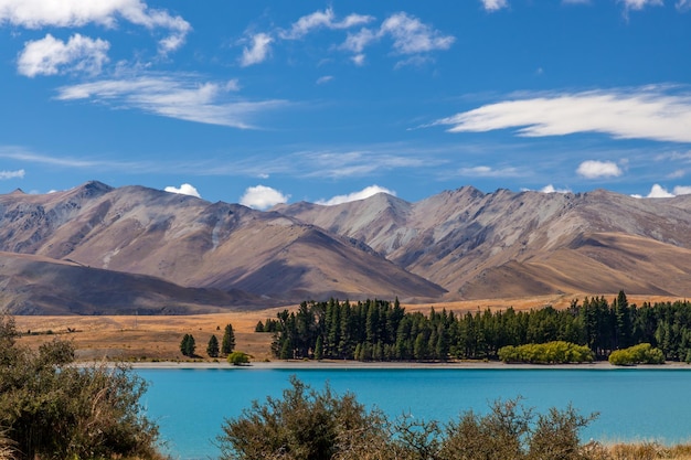 Vue panoramique sur le lac coloré Tekapo en Nouvelle-Zélande