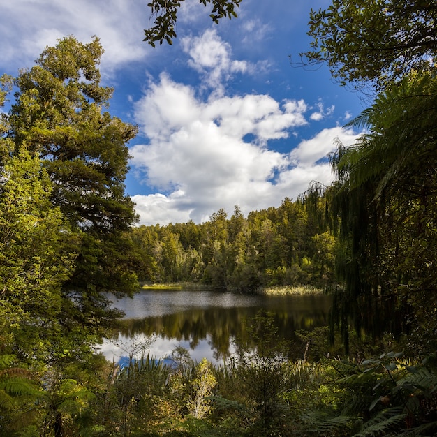 Vue panoramique sur le lac Matheson en Nouvelle-Zélande en été