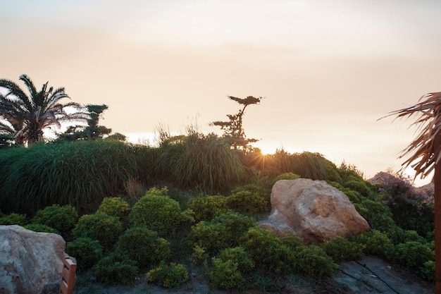 Vue panoramique sur le magnifique coucher de soleil et la plage tropicale