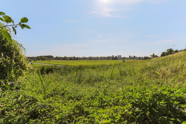 Vue panoramique des maisons en briques