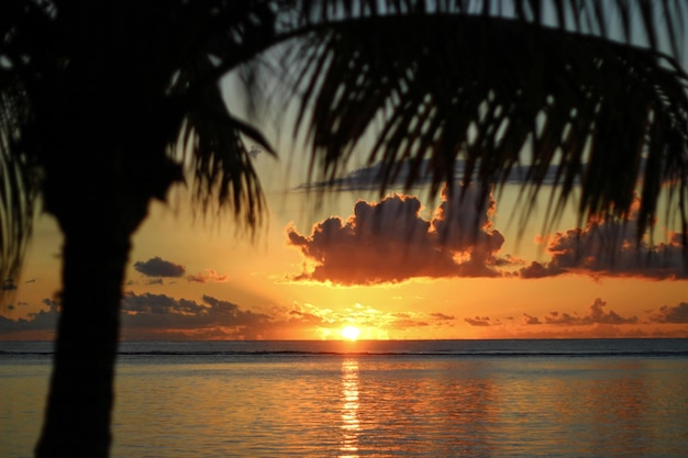 Photo vue panoramique de la mer au coucher du soleil