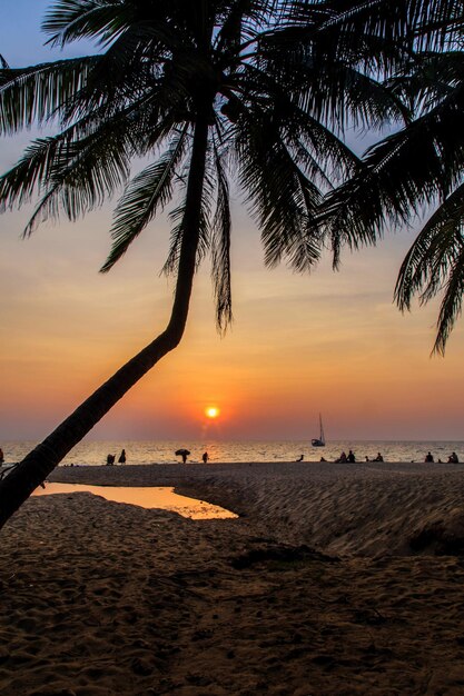 Vue panoramique de la mer au coucher du soleil