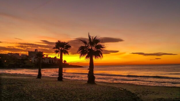 Vue panoramique de la mer au coucher du soleil