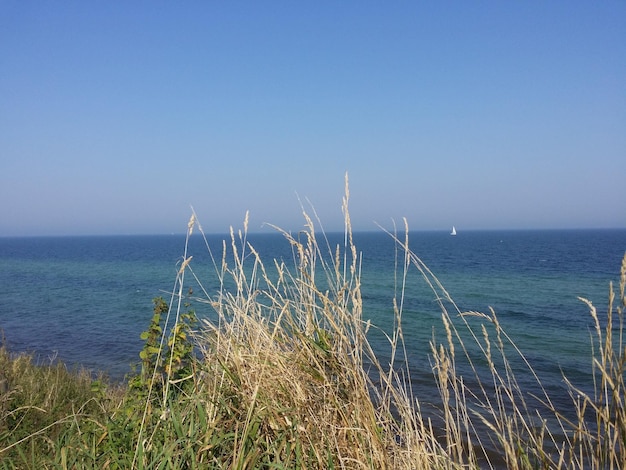Vue panoramique de la mer calme contre un ciel clair