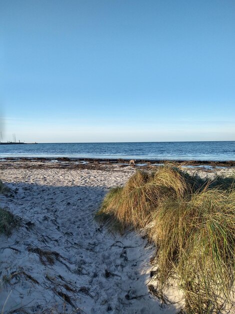 Photo vue panoramique de la mer sur un ciel bleu clair