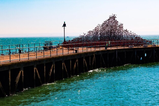 Photo vue panoramique de la mer sur un ciel dégagé