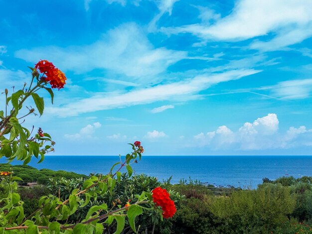 Vue panoramique de la mer sur un ciel nuageux