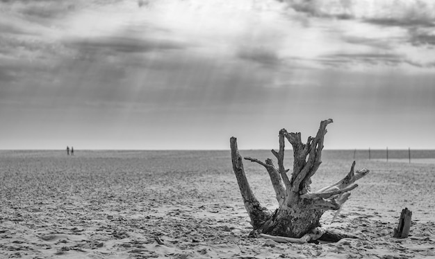 Photo vue panoramique de la mer contre le ciel