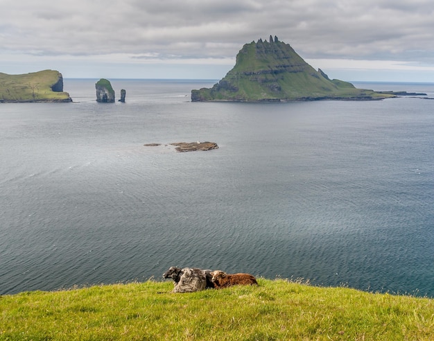 Vue panoramique de la mer contre le ciel