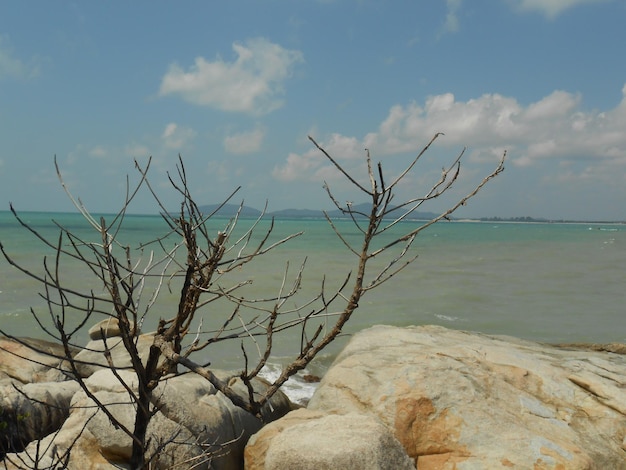 Photo vue panoramique de la mer contre le ciel