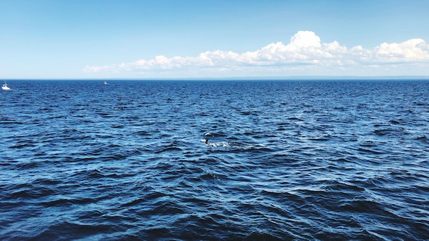 Vue panoramique de la mer contre le ciel